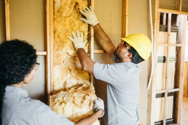 Best Home Insulation Services  in Madison Park, NJ