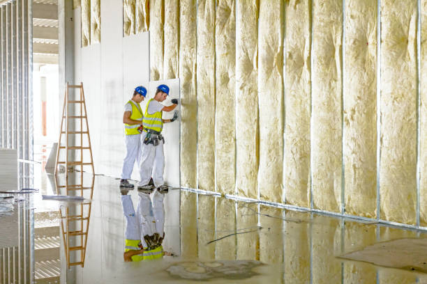Best Insulation Inspection Services  in Madison Park, NJ
